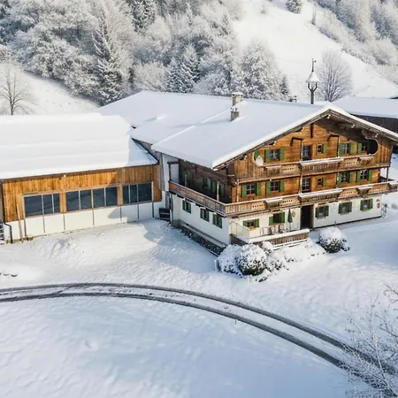 Grabnerhof アパート ブリクセン イン ターレ